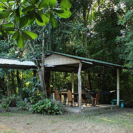 Casa A 26 Kilometros De Jaco Rodeado De Naturaleza Vila Exterior foto