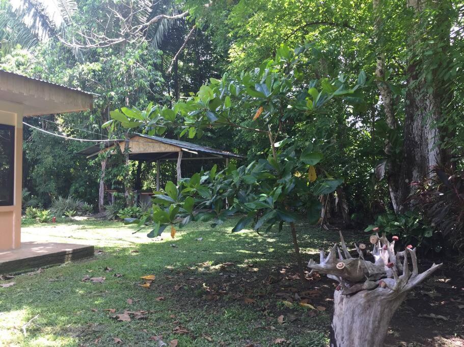 Casa A 26 Kilometros De Jaco Rodeado De Naturaleza Vila Exterior foto