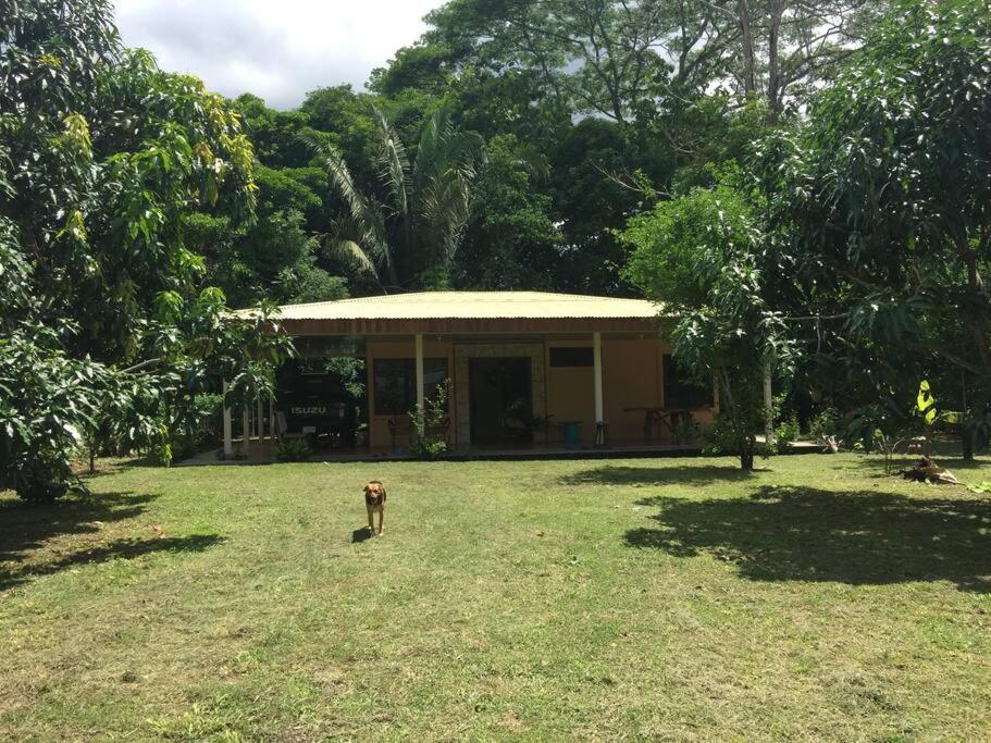 Casa A 26 Kilometros De Jaco Rodeado De Naturaleza Vila Exterior foto