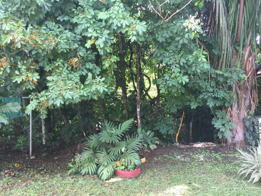 Casa A 26 Kilometros De Jaco Rodeado De Naturaleza Vila Exterior foto