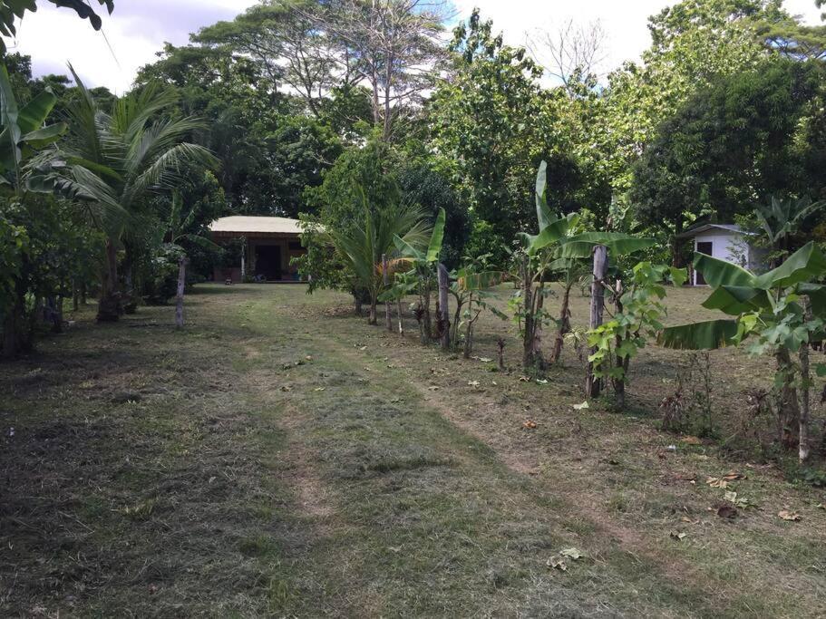 Casa A 26 Kilometros De Jaco Rodeado De Naturaleza Vila Exterior foto