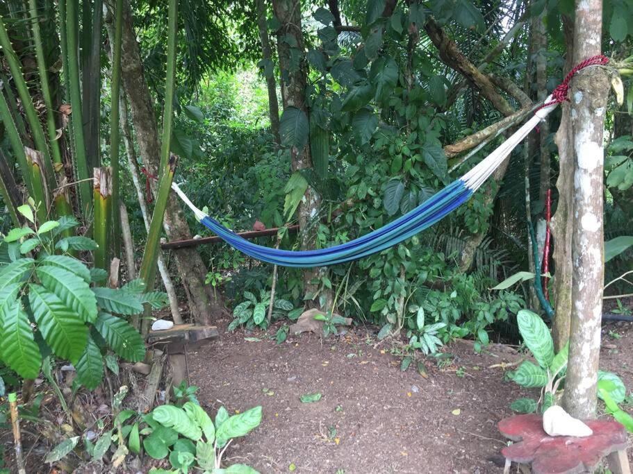 Casa A 26 Kilometros De Jaco Rodeado De Naturaleza Vila Exterior foto